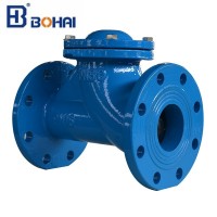 Cast Iron Flange End Ball Check Valve with New Technology